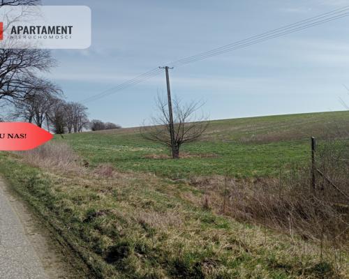 Cicha okolica, warunki zabudowy- TYLKO U NAS!