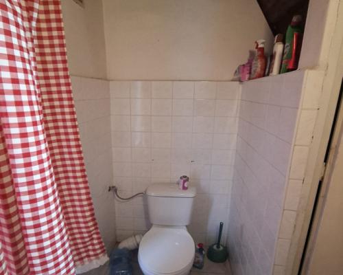 Działka ROD - Smukała, przy Brdzie!