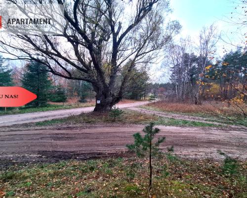 Tylko u nas!!Działka w okolicy lasów i jezior!!!