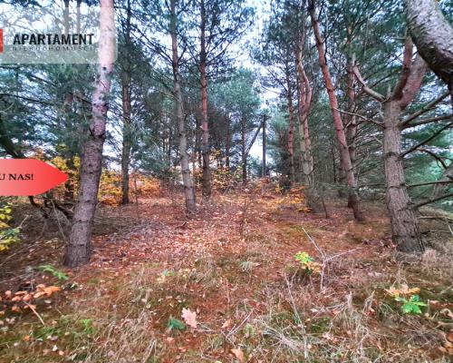 Tylko u nas!!Działka w okolicy lasów i jezior!!!