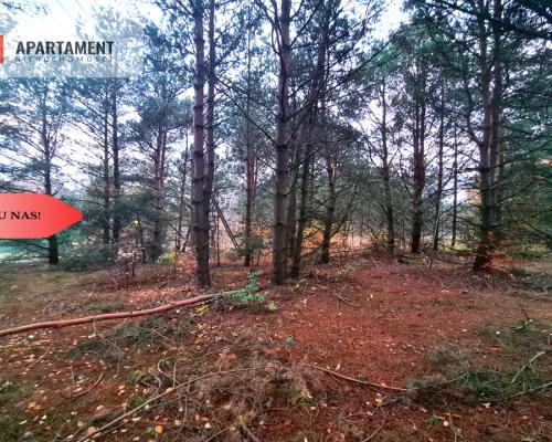 Tylko u nas!!Działka w okolicy lasów i jezior!!!