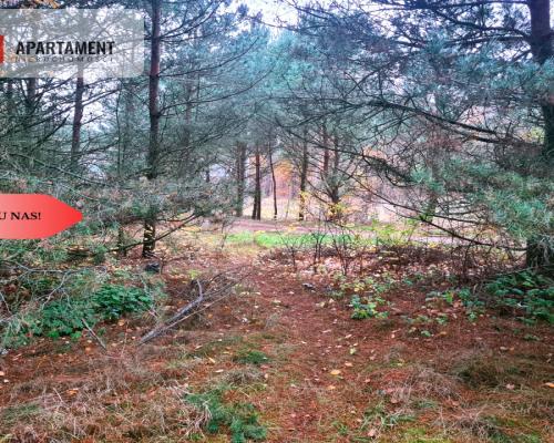 Tylko u nas!!Działka w okolicy lasów i jezior!!!