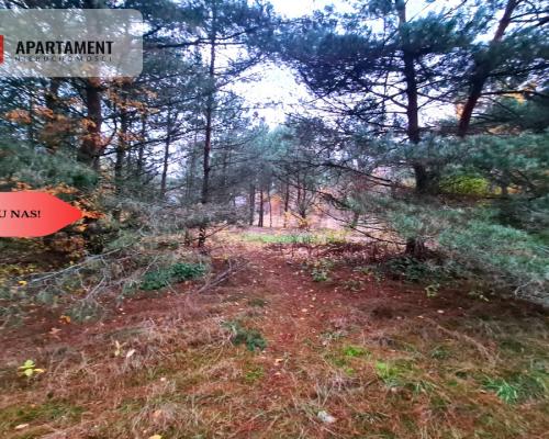 Tylko u nas!!Działka w okolicy lasów i jezior!!!