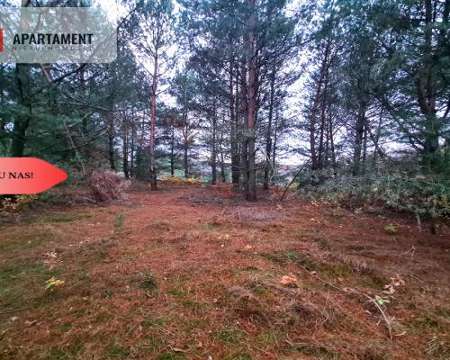 Tylko u nas!!Działka w okolicy lasów i jezior!!!