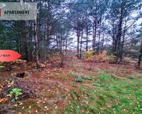 Tylko u nas!!Działka w okolicy lasów i jezior!!!