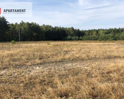 Tylko u nas ! Duża działka ze ściana lasu !