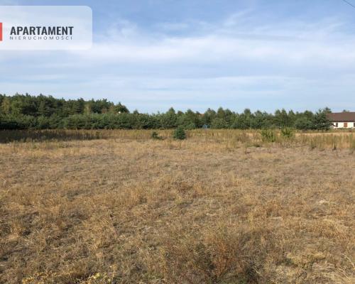 Tylko u nas ! Duża działka ze ściana lasu !