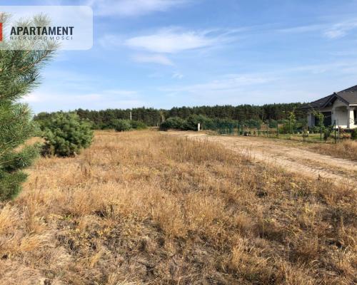 Tylko u nas ! Duża działka ze ściana lasu !
