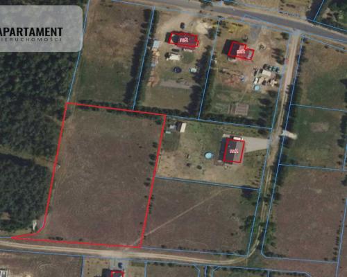 Tylko u nas ! Duża działka ze ściana lasu !