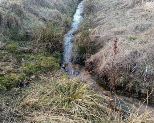 Działka nad jeziorem, z własnym strumykiem