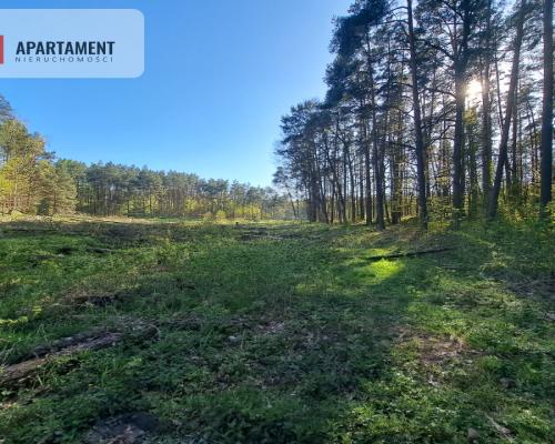 Działka nad jeziorem, z własnym strumykiem