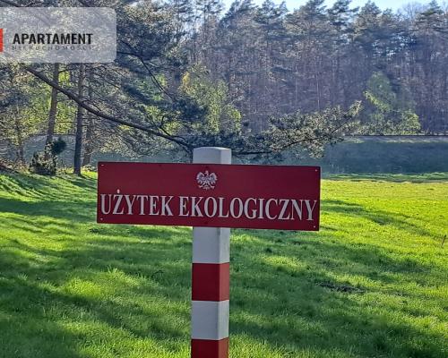 Działka nad jeziorem, z własnym strumykiem