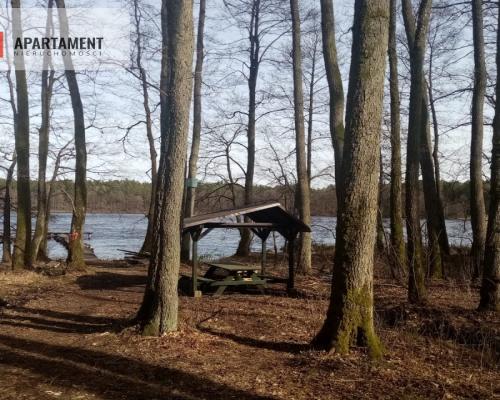 Działka nad jeziorem, z własnym strumykiem