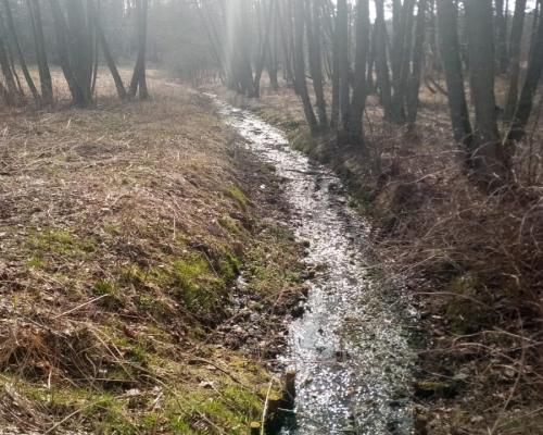 Działka nad jeziorem, z własnym strumykiem