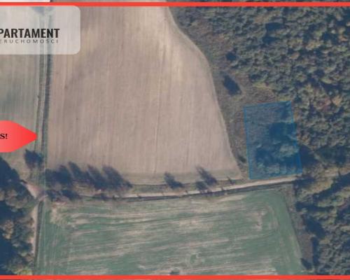 TYLKO U NAS! Duża działka, blisko lasu!