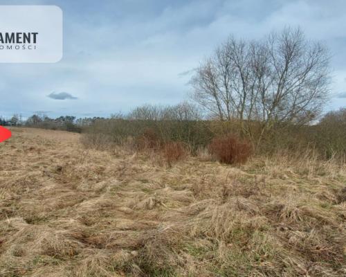 TYLKO U NAS! Duża działka, blisko lasu!