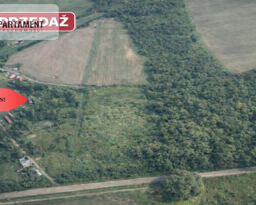 TYLKO U NAS! Duża działka, blisko lasu!