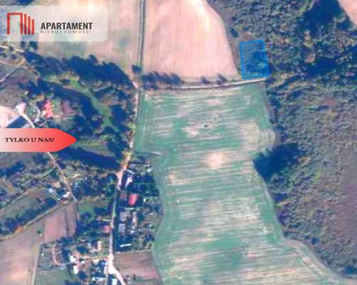 TYLKO U NAS! Duża działka, blisko lasu!