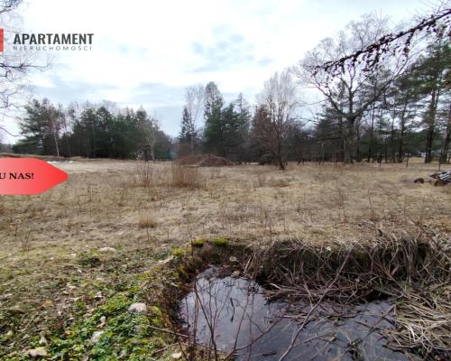 Duża działka nad jeziorem, warunki zabudowy.