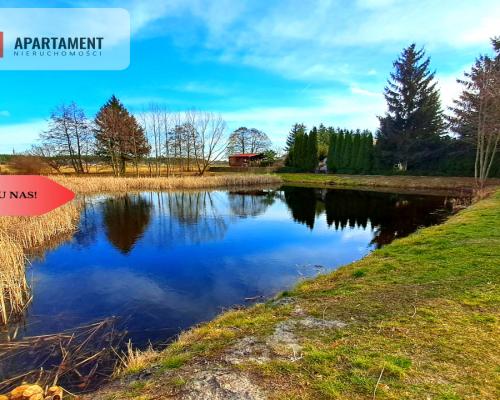 Tylko u nas. Działka z domkiem pod Łabiszynem