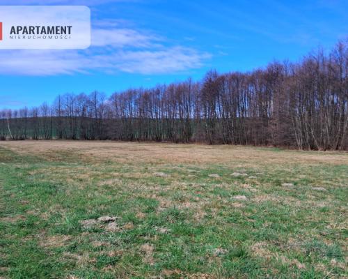 Działka rolna z widokiem na jezioro