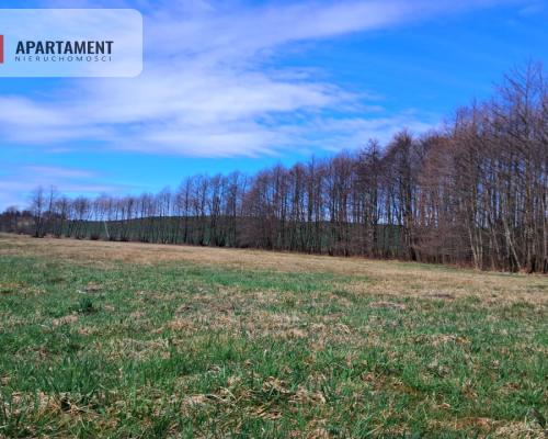 Działka rolna z widokiem na jezioro