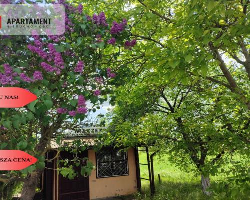 *Działka usług-mieszkaniowa przy asfalcie  MEDIA!!