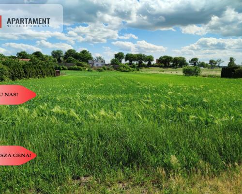 *Działka usług-mieszkaniowa przy asfalcie  MEDIA!!