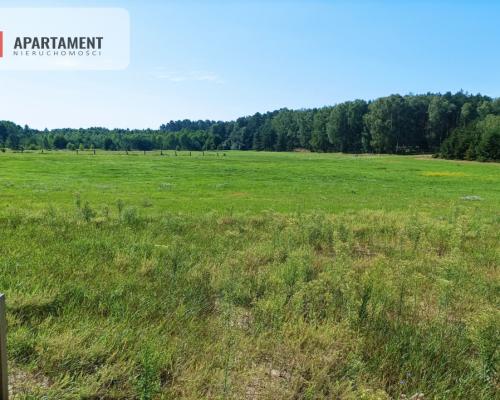 OTOCZONE BORAMI TUCHOLSKIMI BLIŻNIAK REKREACYJNY