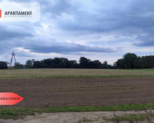 Działka w Borkowicach-bliskość morza