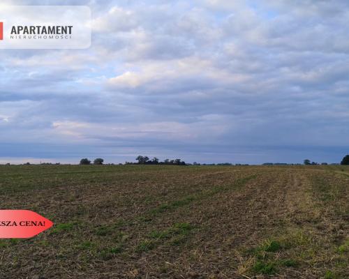 Działka w Borkowicach-bliskość morza