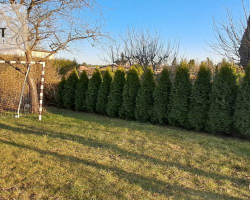 Domek Rod w rozbudowie - Drzewce