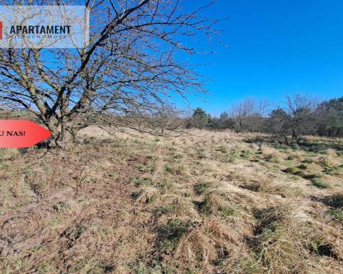 Działka budowlana/mpzp/Lubiąż!