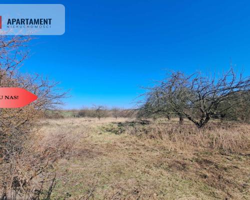 Działka budowlana/mpzp/Lubiąż!