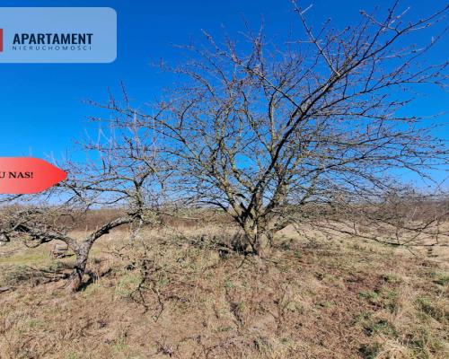 Działka budowlana/mpzp/Lubiąż!