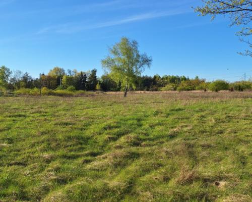 Działka przemysłowa / usługowa 1.18 ha.