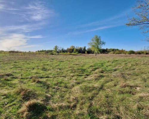 Działka przemysłowa / usługowa 1.18 ha.