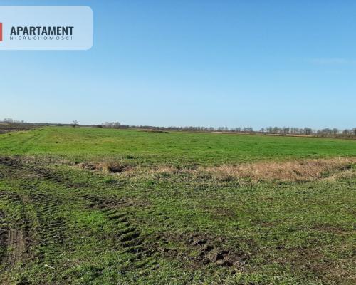 Działki w Nowym Kompleksie