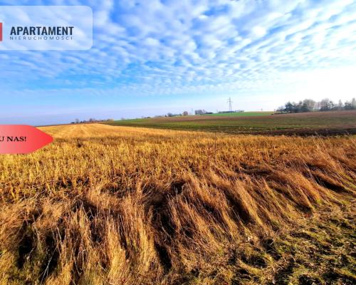 TYLKO U NAS! Miejsce na Twój wymarzony dom!