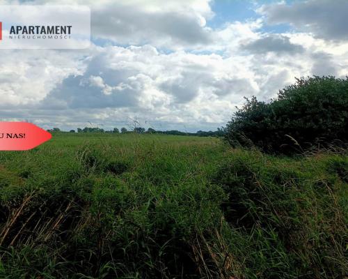 *LAS z łąką ANIELINY SADKI 2.70/mkw