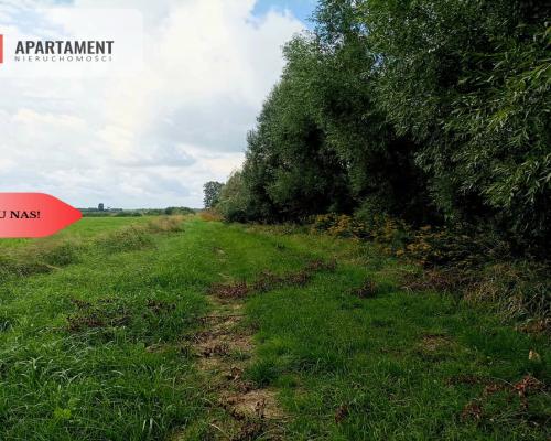 *LAS z łąką ANIELINY SADKI 2.70/mkw