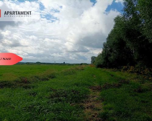 *LAS z łąką ANIELINY SADKI 2.70/mkw