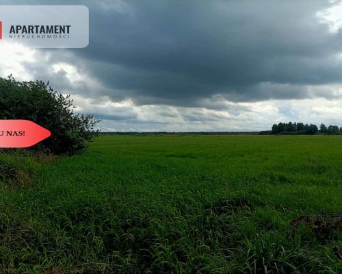 *LAS z łąką ANIELINY SADKI 2.70/mkw