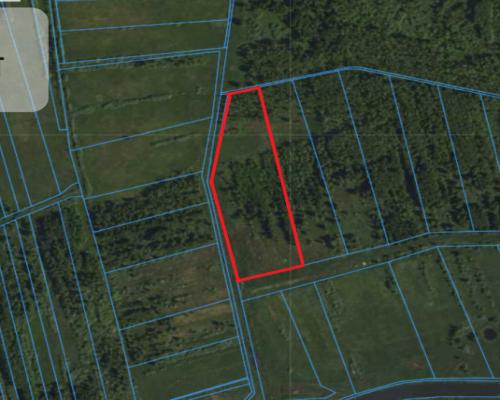 *LAS z łąką ANIELINY SADKI 2.70/mkw