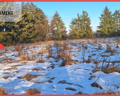 Działka z WZ pod zabudowę bliźniaczą