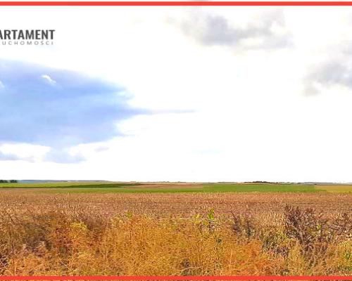 Inwestycja - działka prz trasie