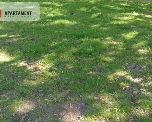 Inwestycja - działka prz trasie