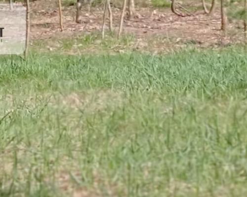 Inwestycja - działka prz trasie