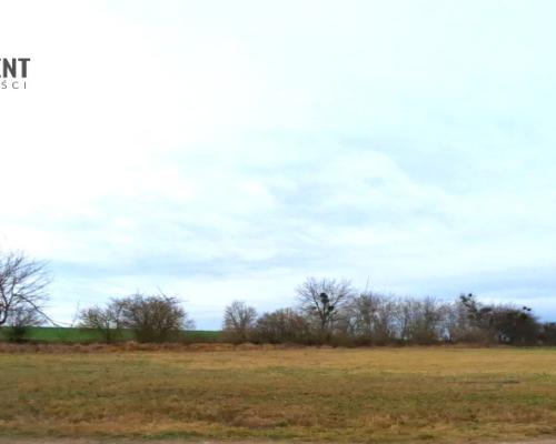 Brzyskorzystew: Działka 2540 m² + WZ