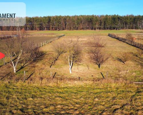 Zawonia ul. Topolowa. 3000 m2! W pobliżu lasu!